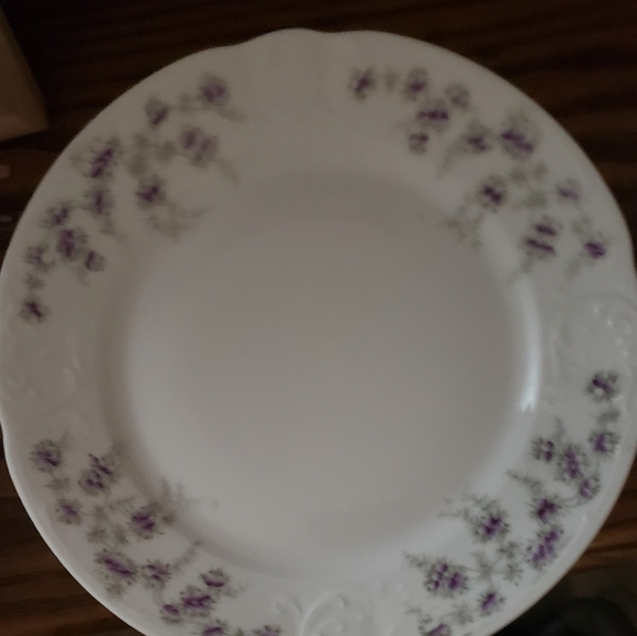 Altrohla Austria 10 Dinner Plates , 10 Salad plates ,4 Decorative plates . - Picture 2 of 13